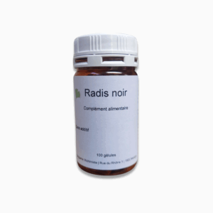 Radis noir
