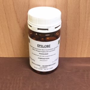 Épilobe