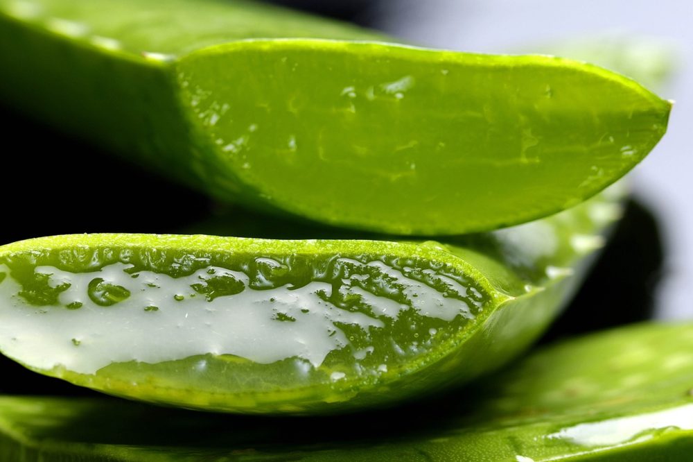 Gel d'Aloe Vera Bio