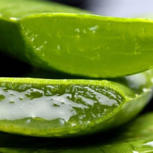 Gel d'Aloe Vera Bio