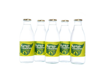 La cure de sève de bouleau de Vollèges
